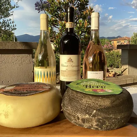 Villa Orsini - A Retreat In Pisa - Food And Relax-3